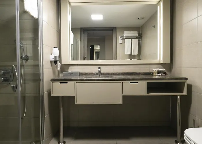מלון Ramada Plaza By Wyndham 4*